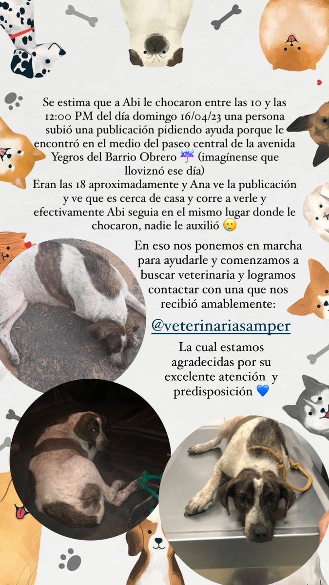 MeraDure's tweet photo. Amigos de Twitter que todo lo pueden les pido un granito de ayuda para Abi 😭❤️ Favor RT 🙏🏼🙏🏼🙏🏼🙏🏼 https://t.co/mQk2ZGf4yb