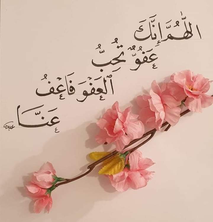 gehanal30828362's tweet image. 