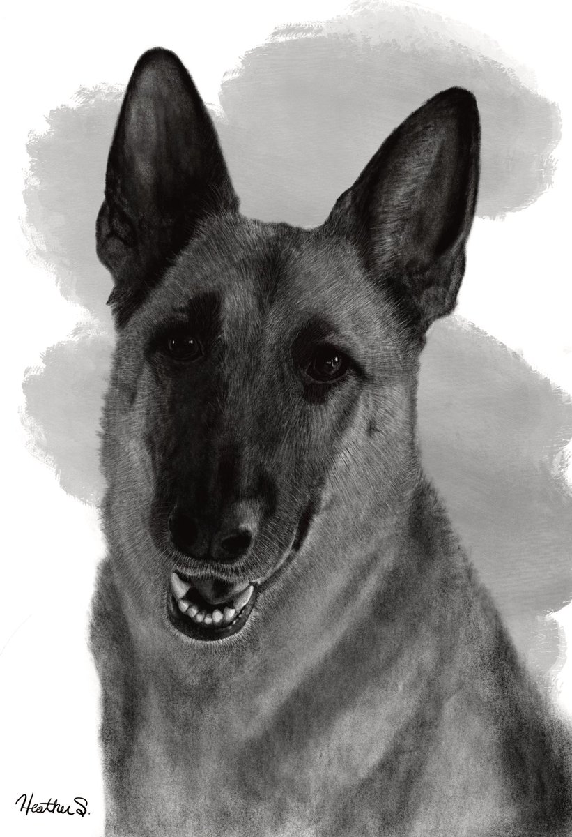 heddurr's tweet photo. @PPaleoartist I’ve learned over time not to add every piece of fur, which is super important in drawing your eye to the animals face. It creates an illusion of depth of field. If fur was on the entire body it would seem flat https://t.co/hlbJBtBIcD