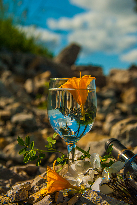 RT twitter.com/williams_pam/s… A wine glass full of summer love! It's Five O'clock Prints➡️ 3-pamela-williams.pixels.com/featured/five-… #photography #art #SharePamsArt #wine #potd #nature #outdoors #reflection #ph…