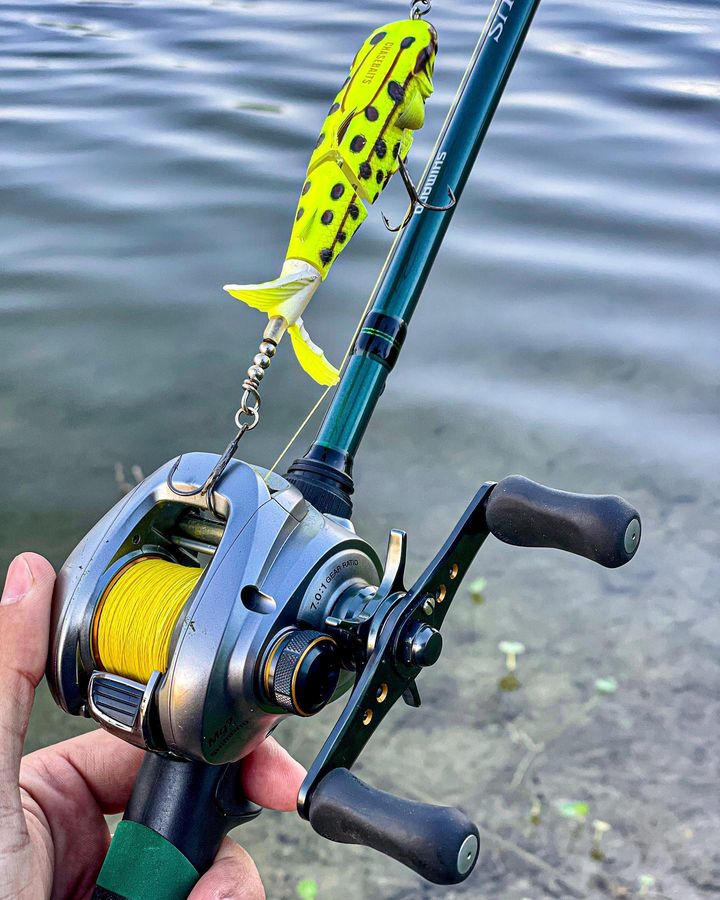 Chasebaits tweet media