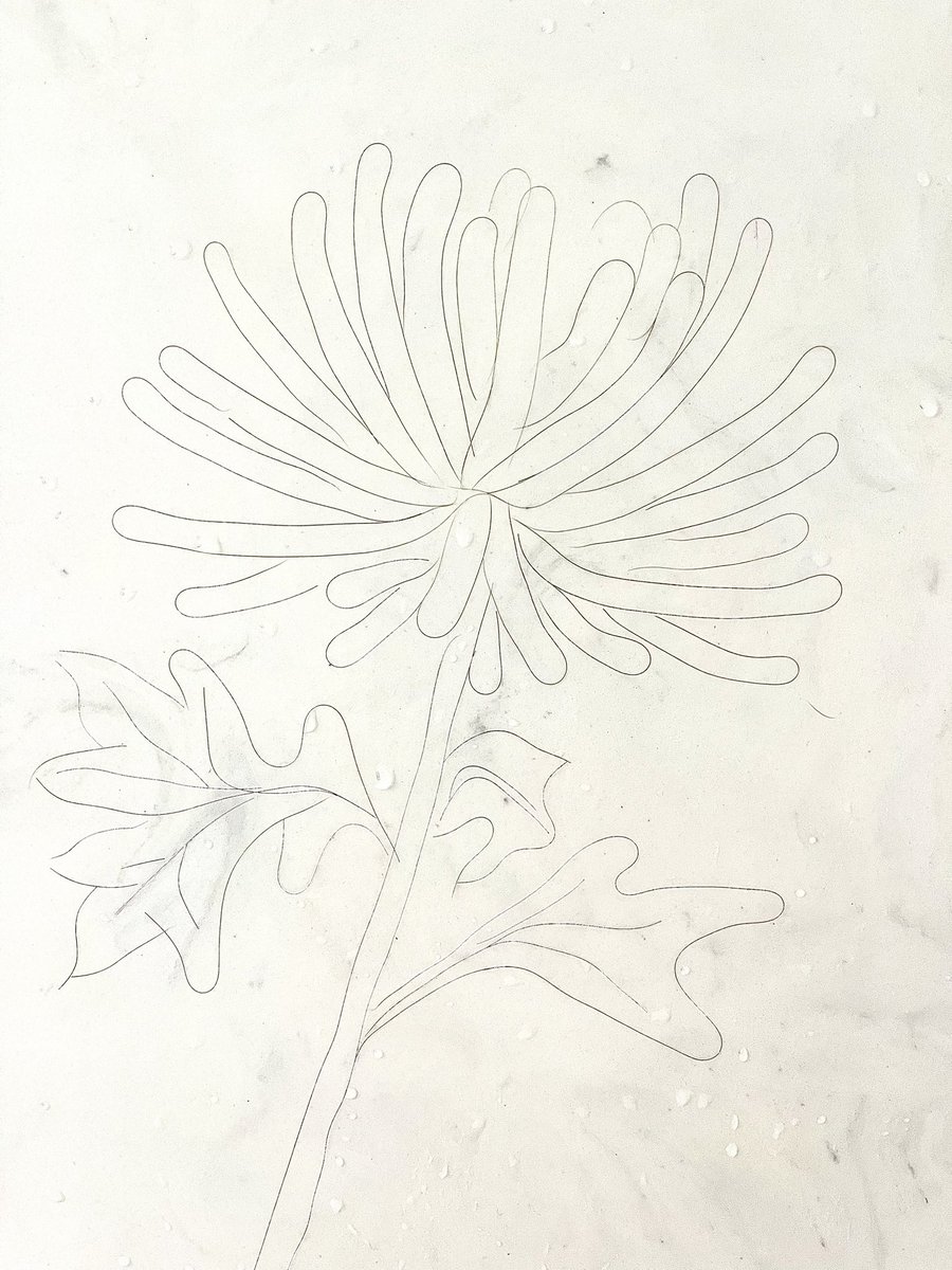 Wedding season is among us again, and I was fortunate to bring home a few flowers from a friend’s lovely ceremony this weekend. Shower Hair Masterpiece #562. “Spider Mum” #ShowerHairMasterpiece