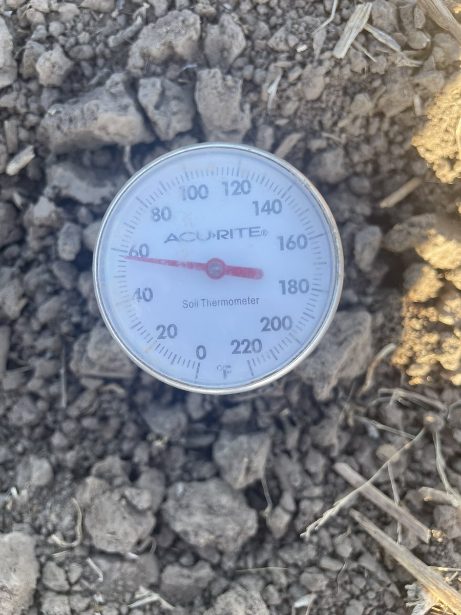 High Farm News tweet media