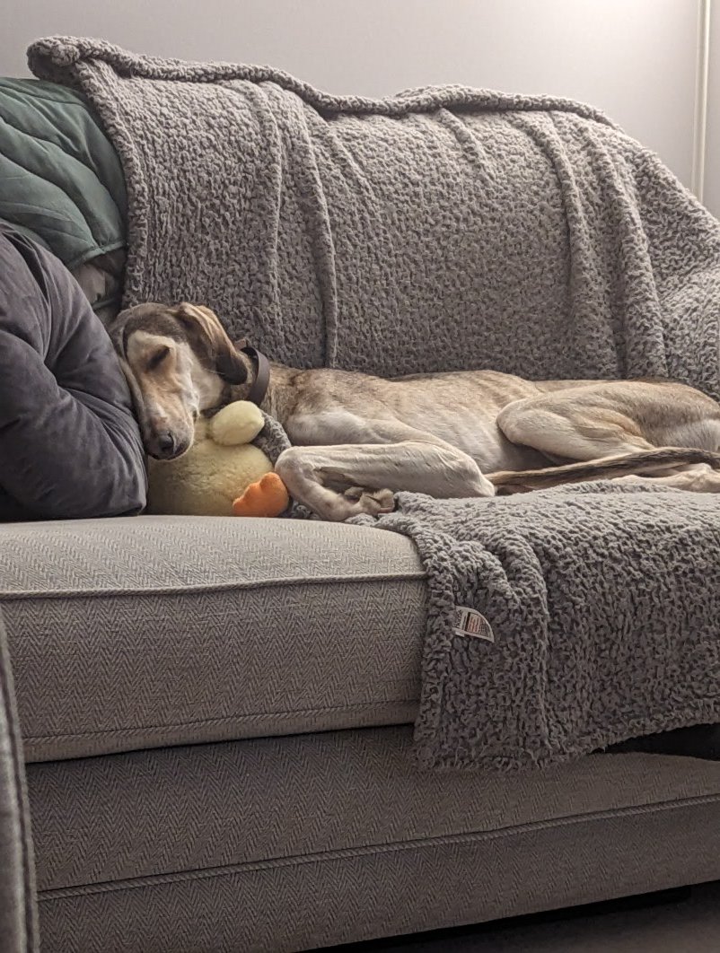 Claire Kidd (@northern_claire) on Twitter photo 