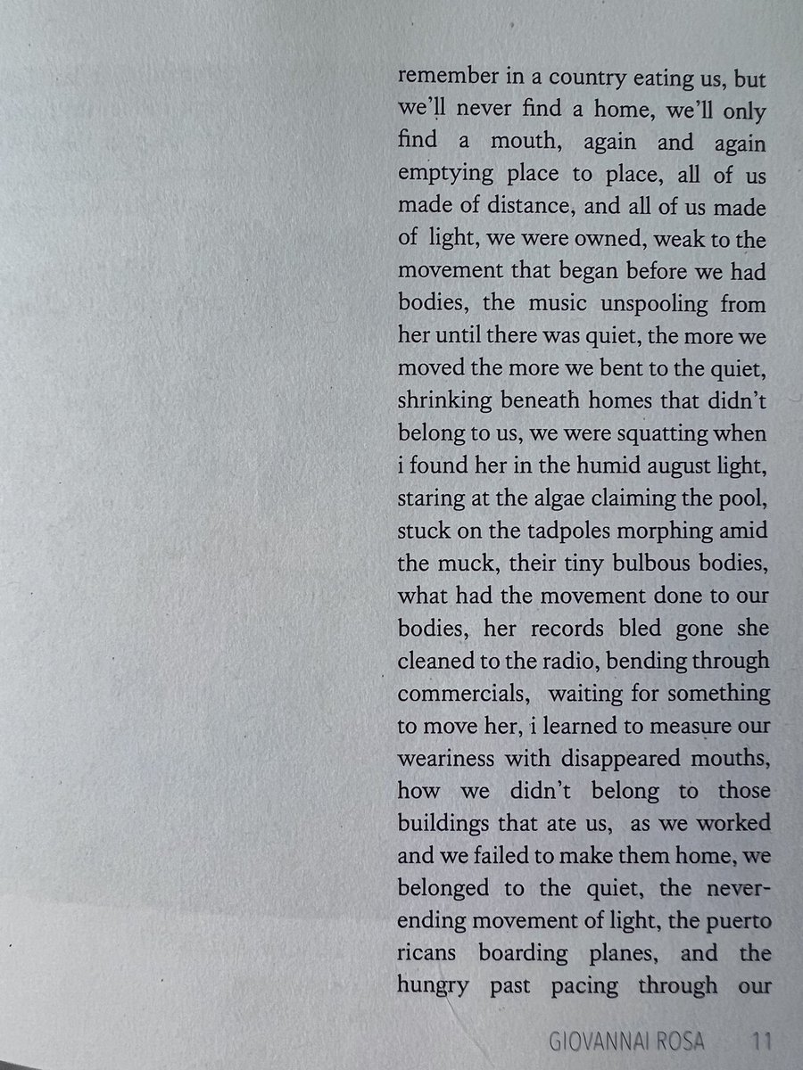 Giovannai Rosa tweet media