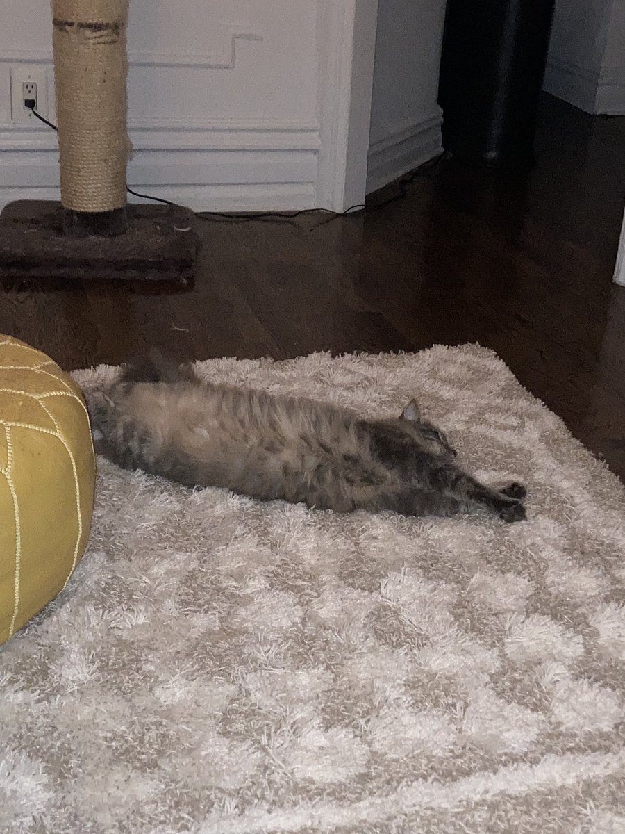 comrade ella🧚🏻‍♀️ ️ on Twitter "this mf is shedding like crazy