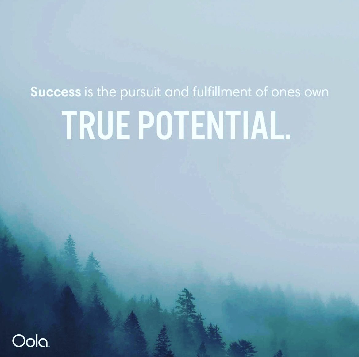 DrRoseDVM's tweet photo. Monday Morning Motivation 💙
#mondaymotivation #truepotential #oola #oolalife #drrosedvm #veterinarymedicine #vetmed #success #fullfillyourdreams https://t.co/caNOLre14a