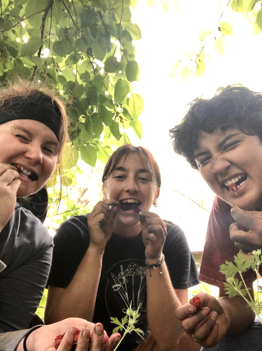 UF Field & Fork tweet media