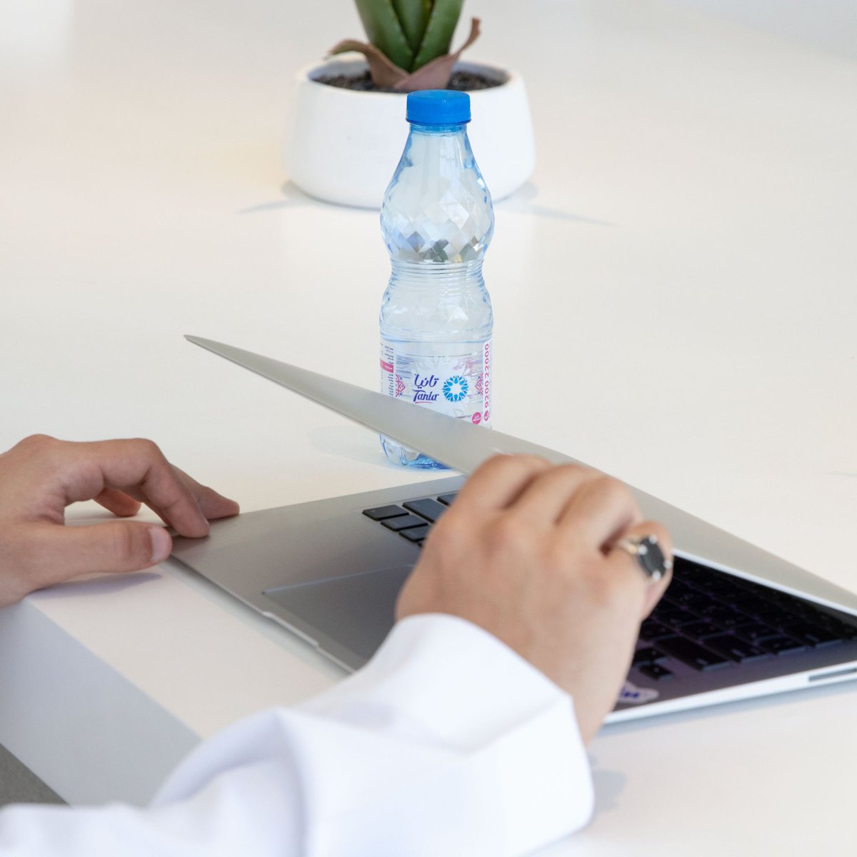 ميـاه تـانـيا tweet media