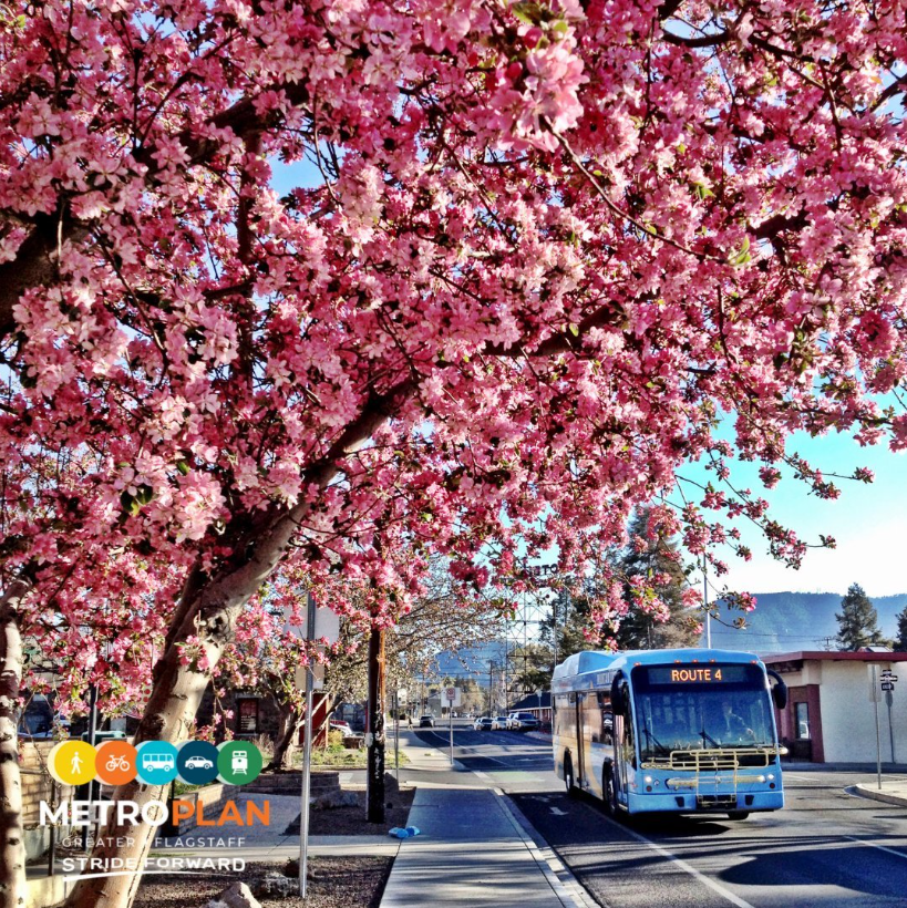 Thank you to all who have joined us in tackling the big challenges, like climate change and affordability across Greater Flagstaff! Follow us on Facebook and Instagram for more updates and ways to join your neighbors and Stride Forward with us. instagram.com/metroplanflag
