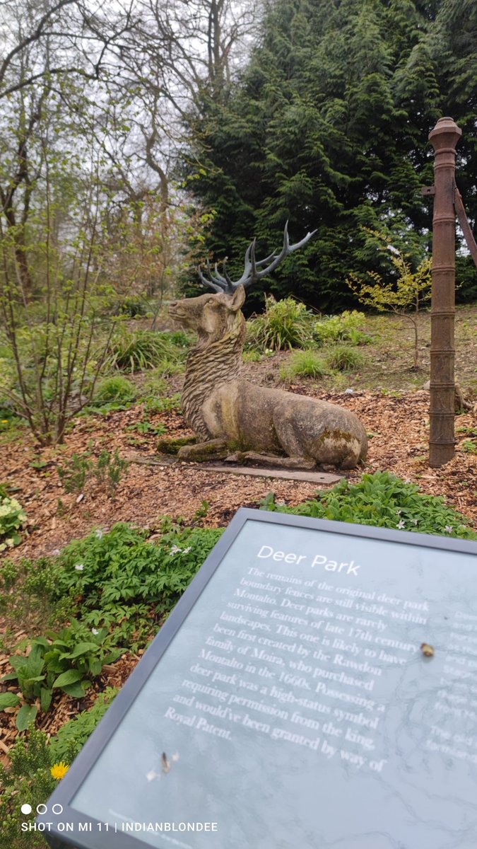 Stepped back in time wi an up close & personal tour of the Lost Garden Trail Visitor Exp @MontaltoEstate 1.2 miles surrounded by woodland gives a sense of tranquility and an understanding of what the era would have looked like in 1912@rcb35 #exploremontalto