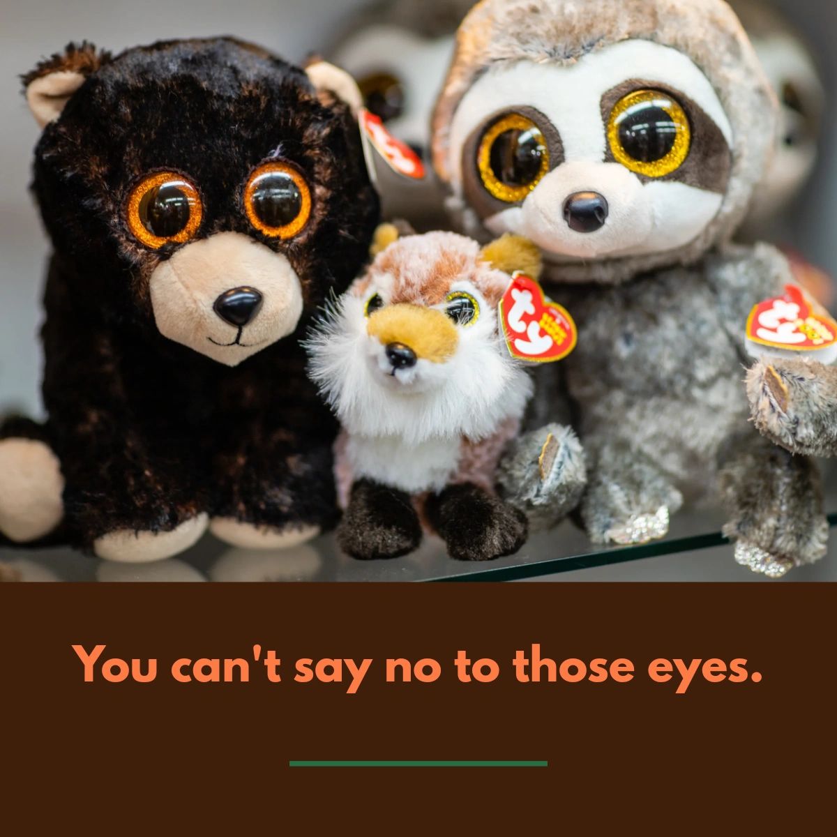Jonathans733's tweet photo. Come on: You know you want to buy one of these little guys and bring them along for your next journey. To see more of our plush items, feel free to visit our website! #JonathansTheBearNecessities #StuffedAnimals

https://t.co/xkhRy1rvqD https://t.co/N5r8Kee3Ak