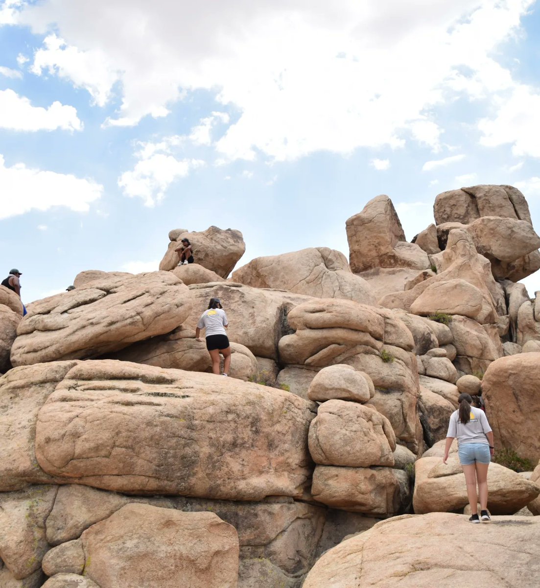 campnewheights's tweet photo. In honor of Coachella weekend one we're throwing it back to our time in the Coachella valley. The only thing hotter than the campsite was our Coachella fashion that weekend. 

#summercamp #summercamps #summer2023 #joshuatree #coachella #healthandwellness #mondaymotivation https://t.co/7bFtxkdtsk