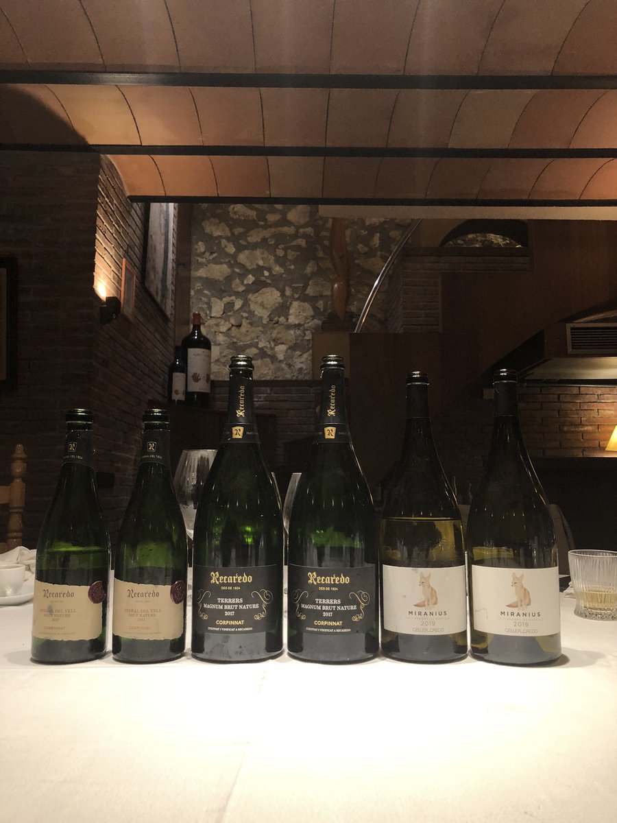 Daniwines86's tweet photo. Fantàstic dia a @Recaredo1924
@vilaviniteca
#corpinnat #vins #sommeier https://t.co/SwsTA6uTG6