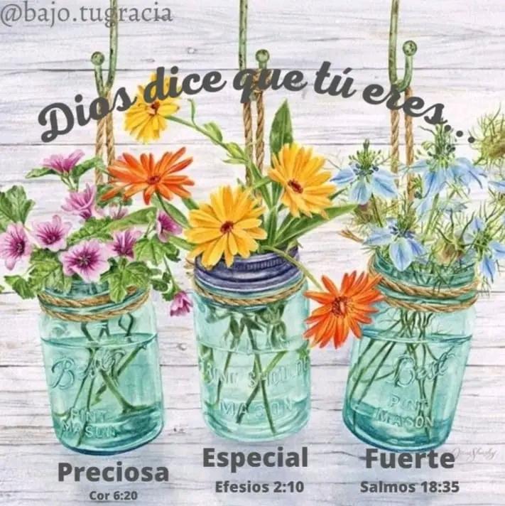 #ConMaduroMásRevolución
🌺 PRECIOSA - 1 Corintios 6:20 porque Dios los compro a un alto precio. Por lo tanto, honren a Dios con su cuerpo.
🌺 ESPECIAL - Efesios 2:10 Porque somos hechura de Dios, creados en Cristo Jesús para buenas obras, las cuales Dios dispuso <a href="/IralisailC/">Iralisail. Carballo</a>