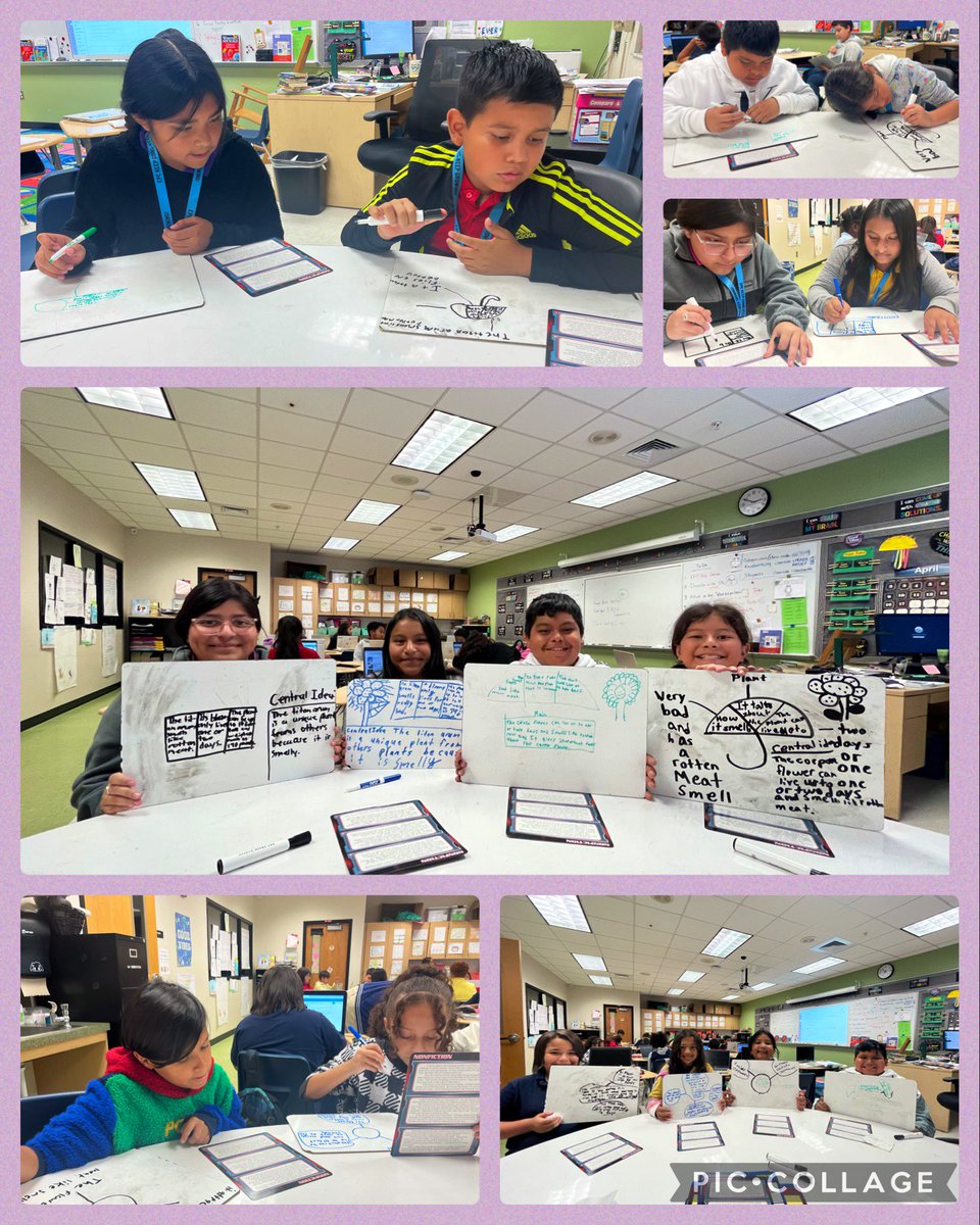 Mary Richardson tweet media