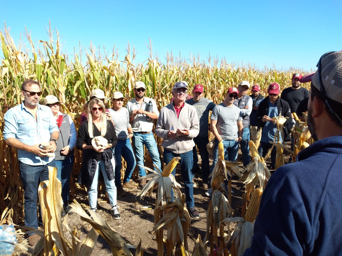 sumidasjv's tweet photo. Hoy jornada en Chacabuco Repasando Portafolio de Maíz @BrevantSemillas 2023 con @maximoaorozco y las novedades en Soja junto a @Agrochip Excelente día @agusbellesi @franincera @mmarcioOk #preparados para la Nueva Campaña https://t.co/BXv65ubb37