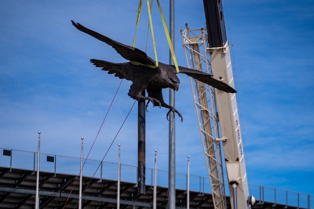 Air Force Falcons tweet media