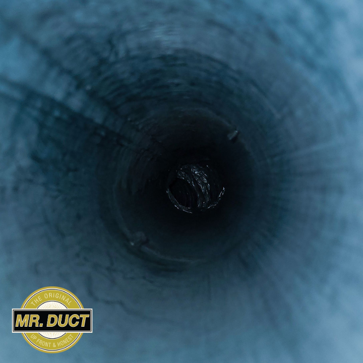 Dryer vent cleaning is made easy with Mr. Duct! Schedule your annual dryer vent cleaning today 
☎️(800) 501-4157

#dryerventcleaning #vents #dryervent #lint #chicagoland #dryerlint #fireprevention #energysavings #dryingtimes