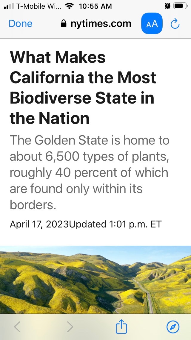 Gratitude Gourmet (tm) (@gratitudgourmet) on Twitter photo 