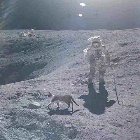 positivityofx's tweet photo. https://t.co/zT94eWt0Rv