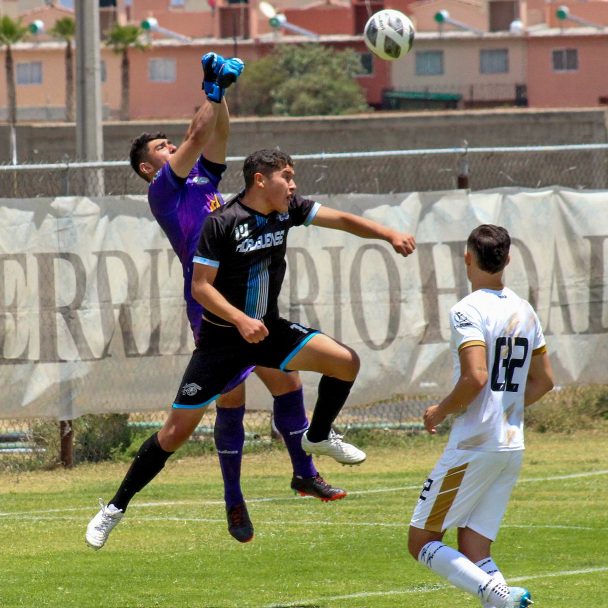 ¡FINALIZA LA TEMPORADA REGULAR CON EL TRIUNFO! 😮‍💨

<a href="/cd_tulancingo/">CD Tulancingo</a> dominó en la casa de Club Hidalguense

Sigue leyendo para saber más 👉🏽 bit.ly/41d3rGR

#LigaTDP #CrecemosJuntos #Fútbol #FMF