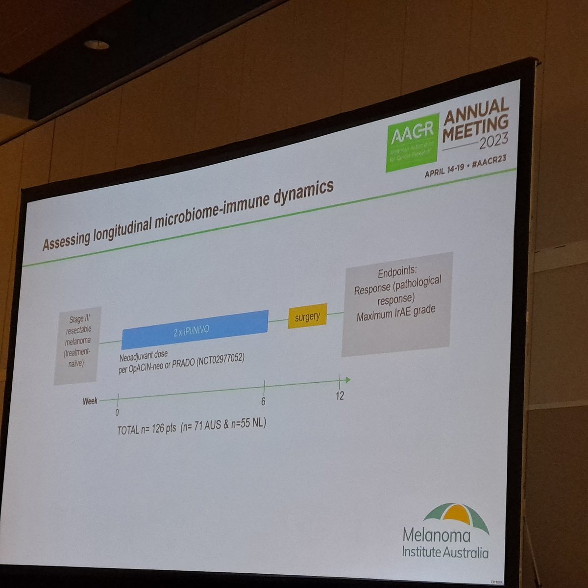 James Wilmott (@jwilmott38) on Twitter photo <a href="/MelanomaAus/">Melanoma Institute Australia</a> PhD studet <a href="/_RCSimpson/">Rebecca Simpson</a> opening a session a AACR! Covering her recent Nature Med paper and new longditudinal gut microbiome:immune analysis of the OPACIN and PRADO cohorts. <a href="/MelanomaAus/">Melanoma Institute Australia</a> PhD studet <a href="/_RCSimpson/">Rebecca Simpson</a> opening a session a AACR! Covering her recent Nature Med paper and new longditudinal gut microbiome:immune analysis of the OPACIN and PRADO cohorts.