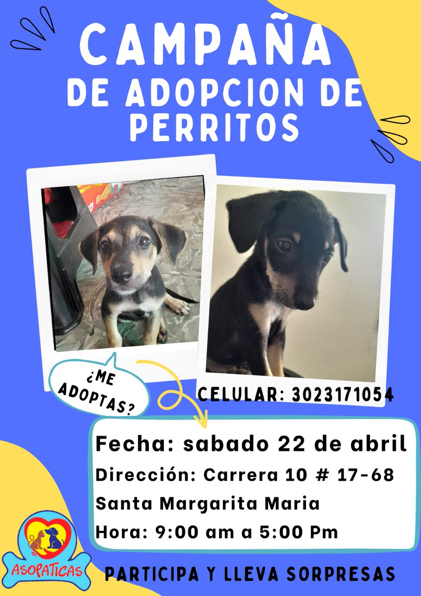 asopaticas's tweet photo. 👥🫂Amigos de Asopaticas 🐾💙
Los invitamos a todos 🗣️📢este sábado  22 de abril desde las 9:00 am hasta las 5:00 pm a una campaña de adopción responsable de mascotas 🐶 en la carrera 10 # 17-68 barrio Santa Margarita María, frente a la cancha del colegio industrial. https://t.co/cMOkOLVjnA