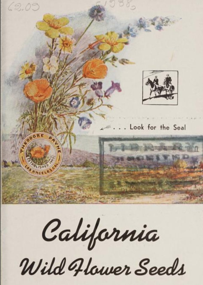 For California Native Plant Week: A catalog from the Theodore Payne nursery that specialized in California wildflowers & plants: archive.org/details/CAT313… More about @TheodorePayne & his work with #CANativePlants: theodorepayne.org/about/theodore…