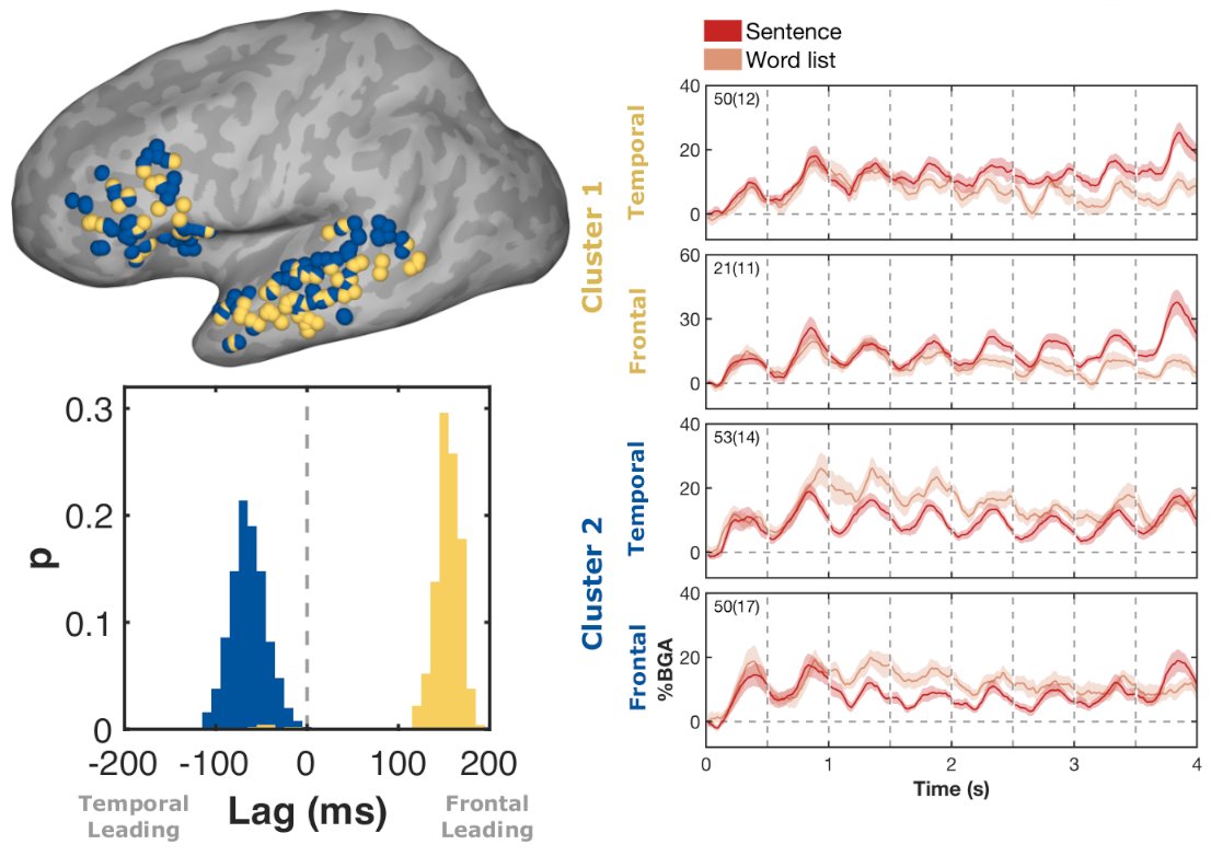 Now out in @PNASNews! Using intracranial recordings we mapped distributed frontotemporal language networks. We characterise two functionally distinct networks that engage during sentence reading (36 patients, >2.6k electrodes, >12k sentences) pnas.org/doi/10.1073/pn… Thread 🧵: