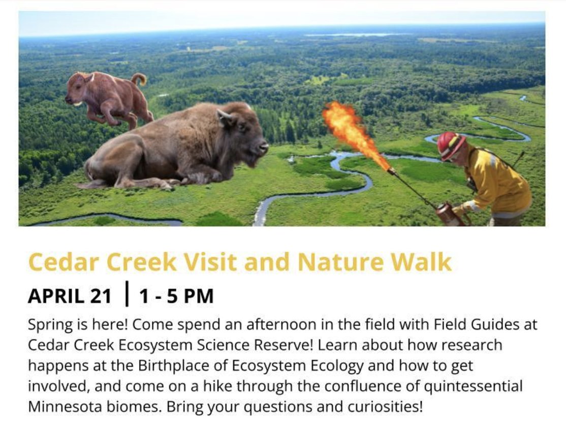 Our last Field Guides field trip will be this friday at <a href="/CedarCreekESR/">Cedar Creek ESR</a>! Rides will be provided from the St. Paul Campus. 

See link in bio for more info