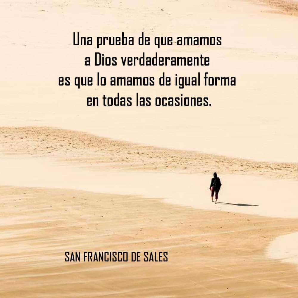 Frases de Santidad ✝😇  

#Santos #Iglesia #Migrantes #SomosHermanos #TodosSomosMigrantes