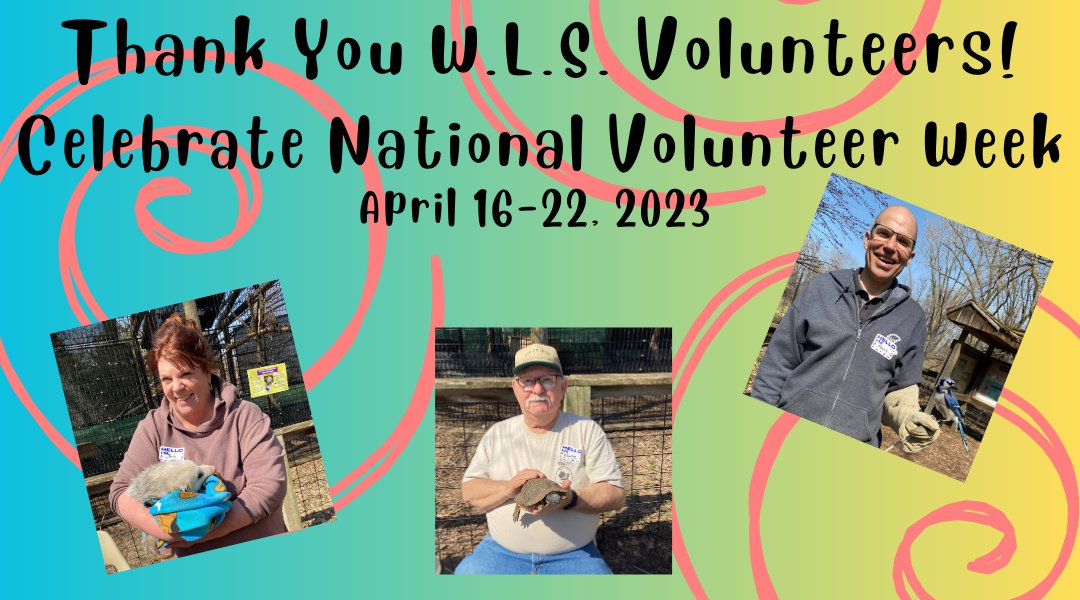We want to thank all the wonderful volunteers who are so dedicated to the Bay Beach Wildlife Sanctuary!  Thank you so much! #NationalVolunteerWeek  #baybeachwildlifesanctuary
