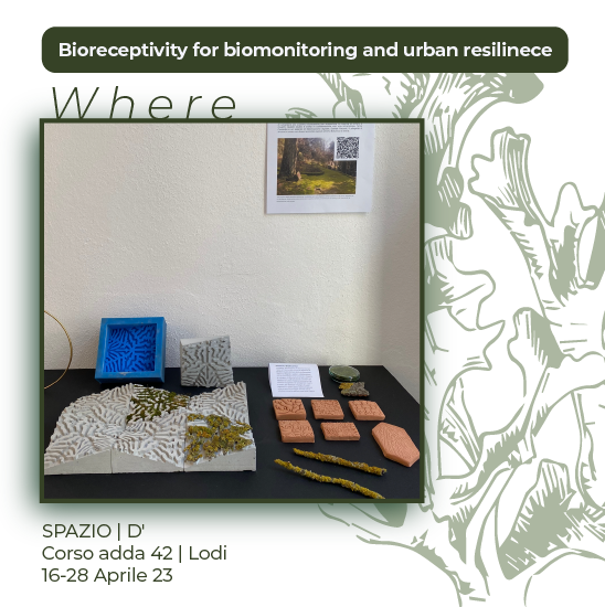 Barbara Pollini tweet media