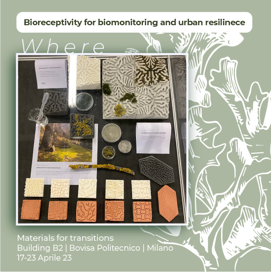 Barbara Pollini tweet media