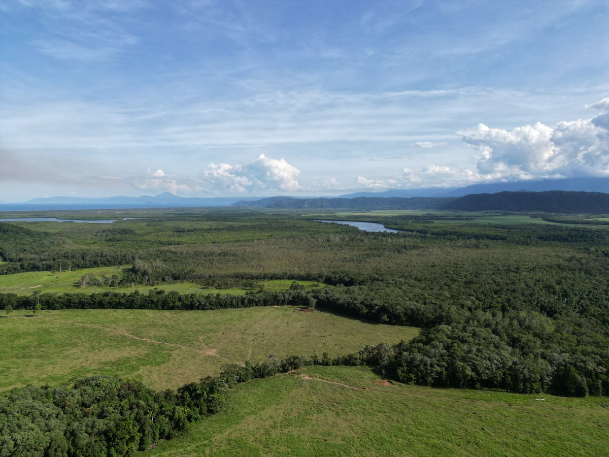 Do you know how dependent your #business, or your supply chain, is on #nature? Or how your business impacts on nature? Are you #accounting for nature on your balance sheet? This <a href="/AICDirectors/">AICD</a> article is worth a read to understand why it's important.
 aicd.com.au/risk-managemen…
