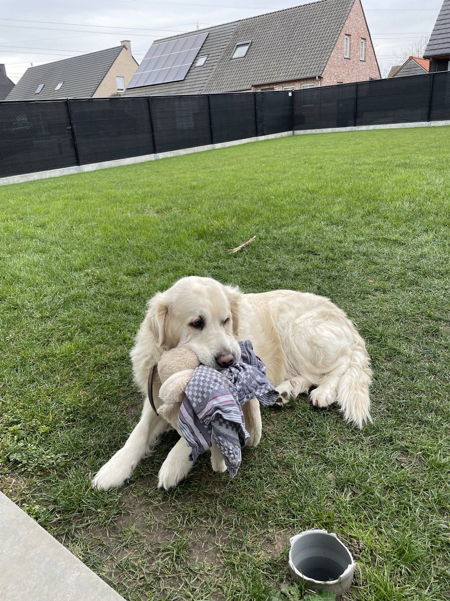 Tom Devriendt tweet media