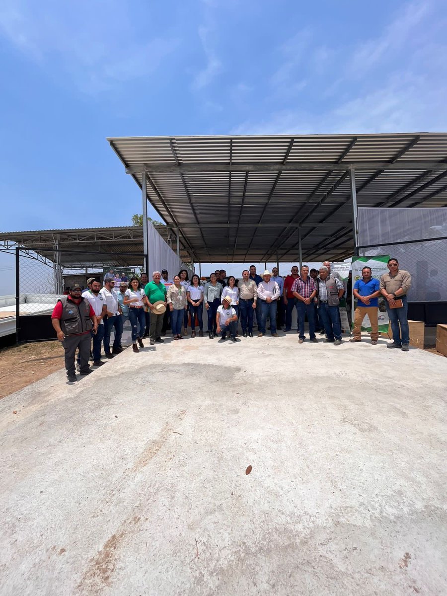 Ahsafe1's tweet photo. El Programa CampoLimpio/REVAP, 🍃inauguró en Cencenti, Ocotepeque, el primer Centro de Acopio de Envases Vacios de Plaguicidas, con Triple Lavado.
#campolimpiorevap #buenaspracticasagricolas #SENASA #revap #envasesvacios #plaguicidas #SAG https://t.co/qfs67JXw7P