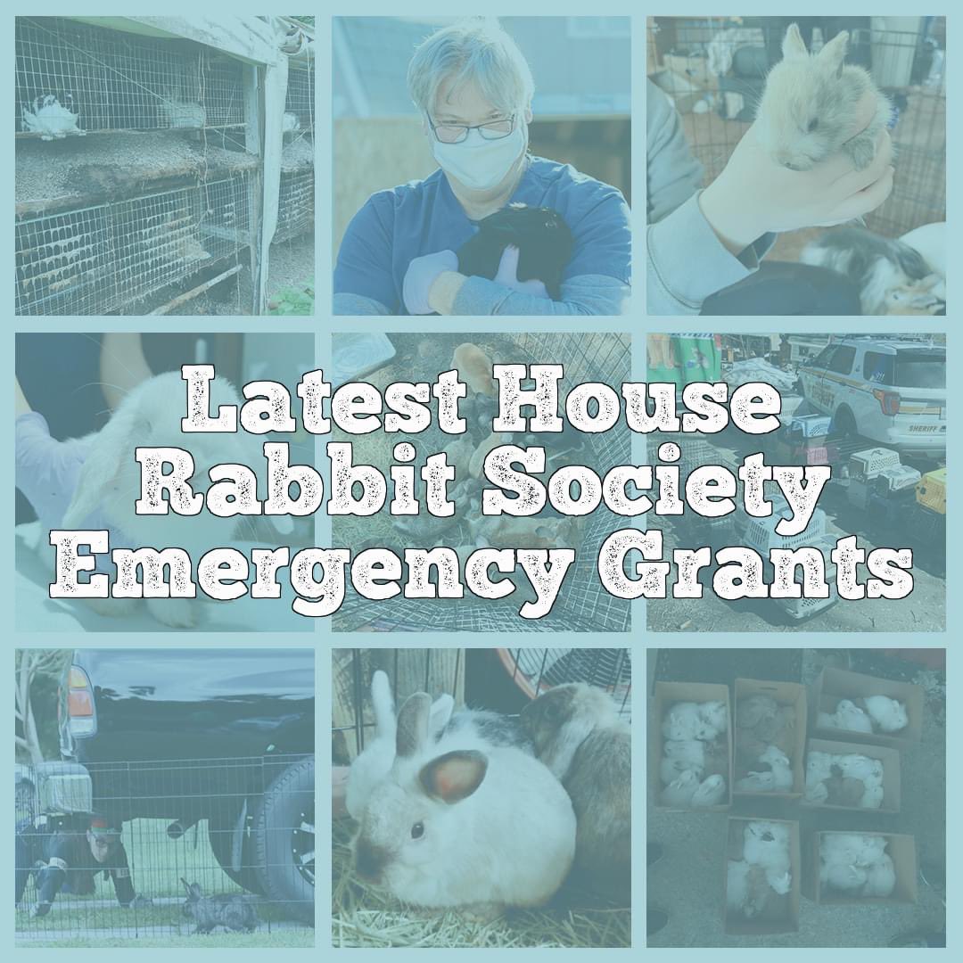 Evan🤷🏻‍♀️ on Twitter "RT HouseRabbit 🚨New HRS emergency grants