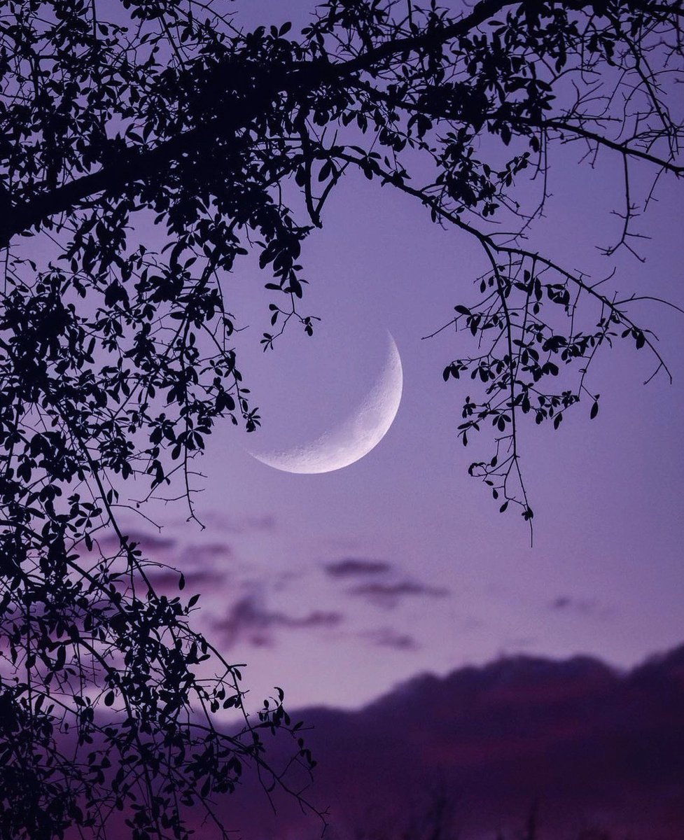 moonloverxjpg's tweet photo. la luna siempre tan hermosa https://t.co/Ze27kMUQeP