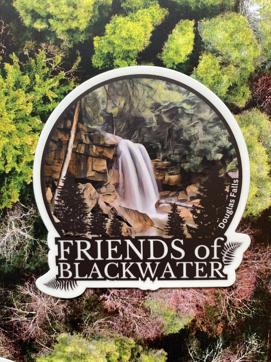 SaveBlackwater's tweet photo. Friends of Blackwater now has a sticker series! Available on our website at: https://t.co/A9MoLdfxhb https://t.co/F3wkM2L2jr