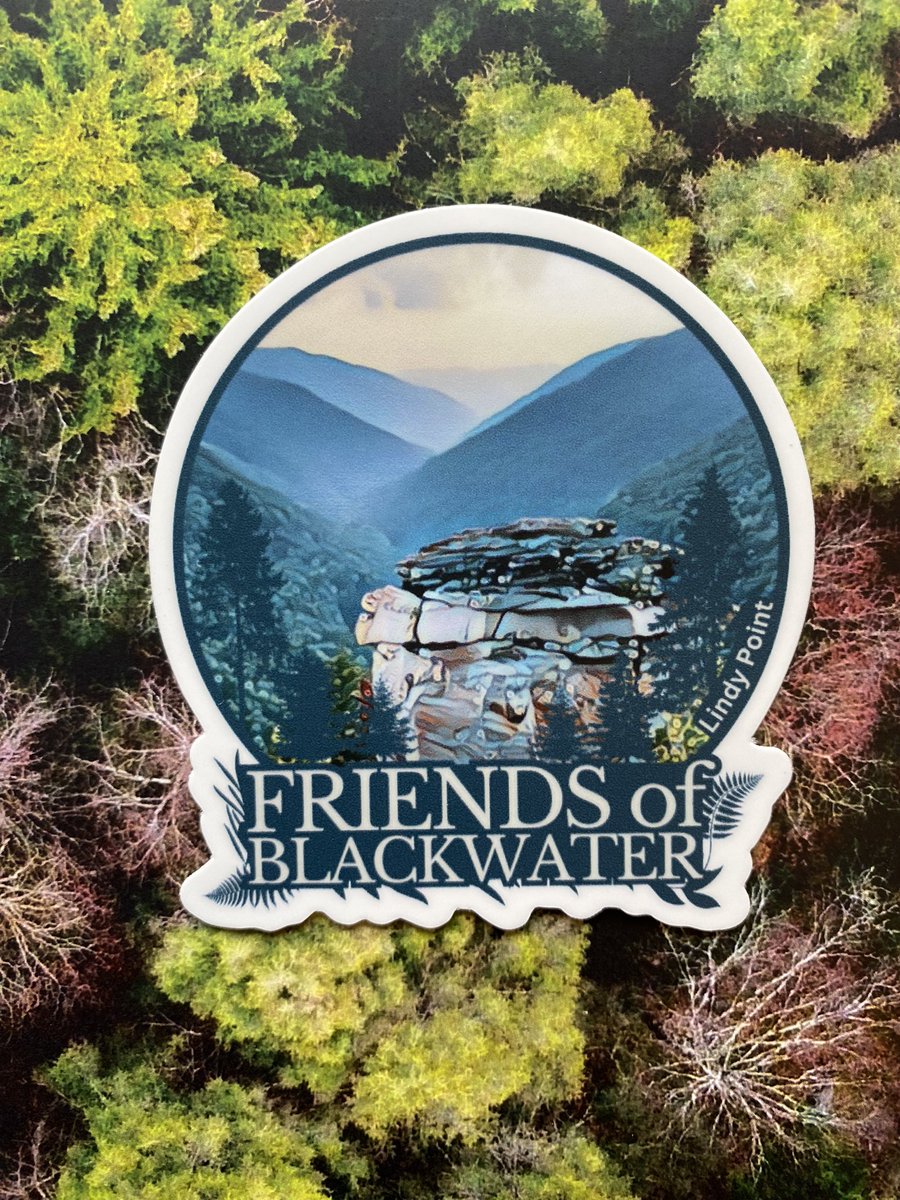 SaveBlackwater's tweet photo. Friends of Blackwater now has a sticker series! Available on our website at: https://t.co/A9MoLdfxhb https://t.co/F3wkM2L2jr