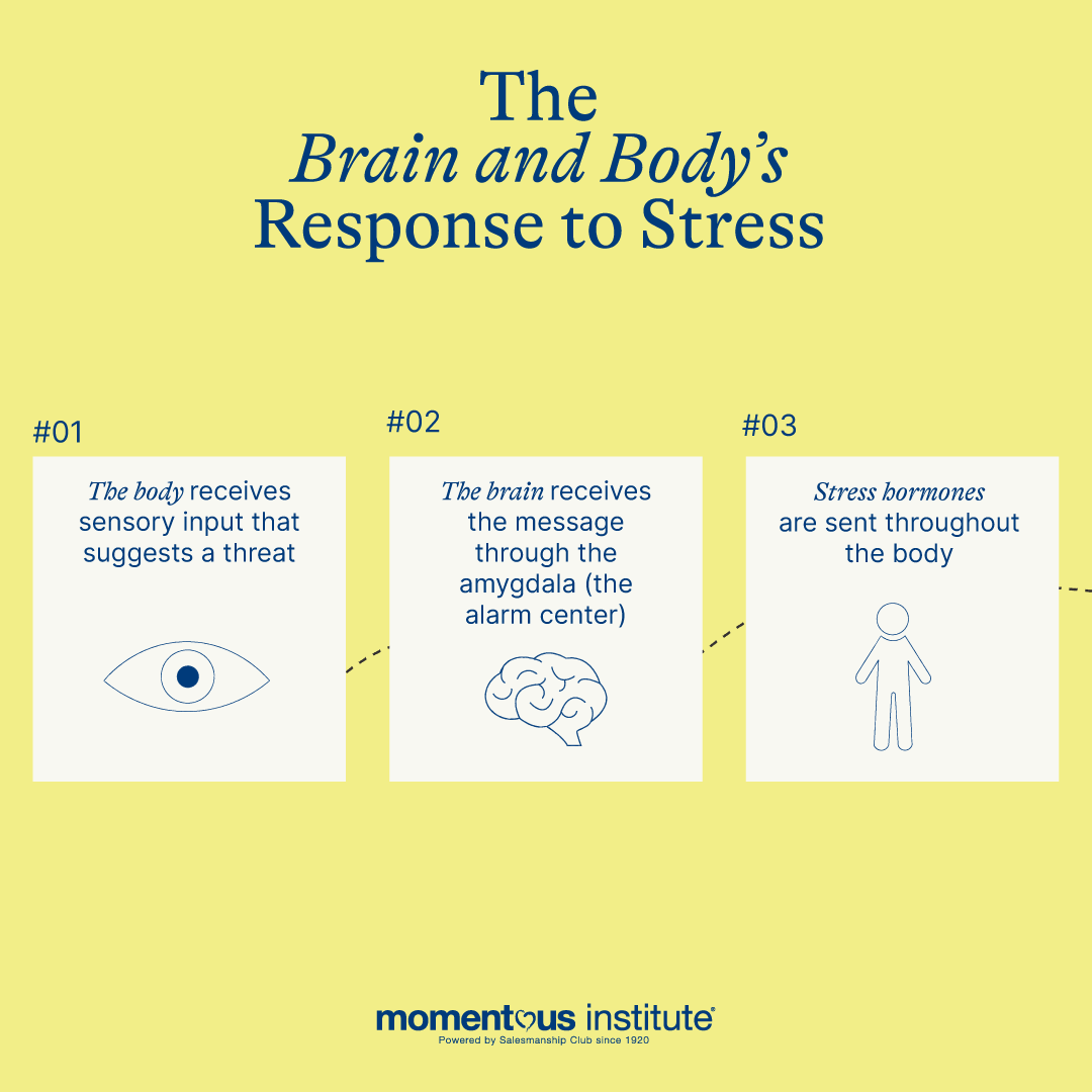 @momentous tweet media