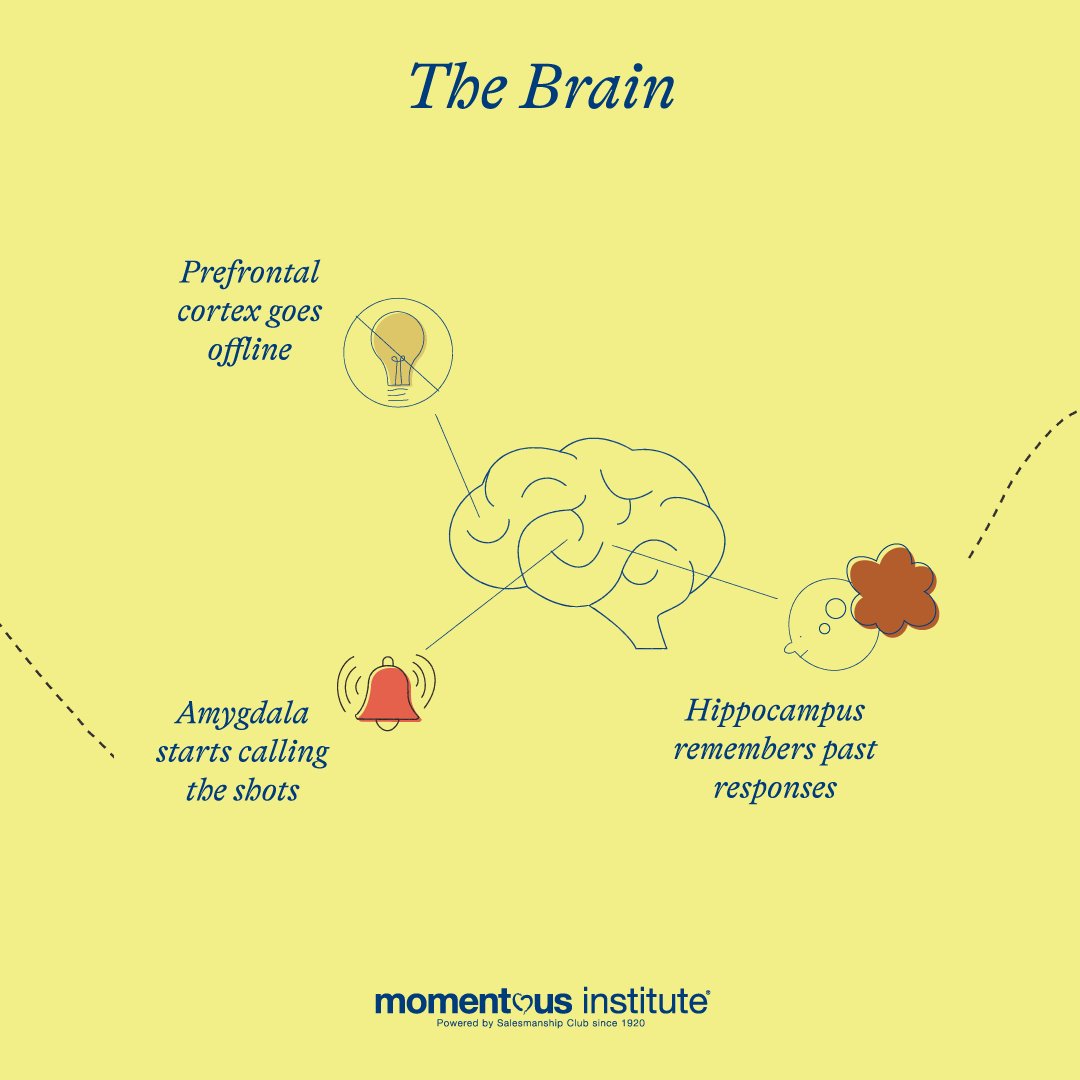 @momentous tweet media