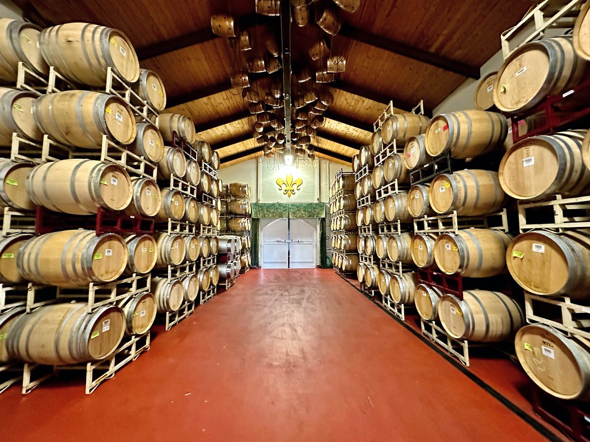 From grape to greatness: Here's a glimpse of our barrel cellar, where our wines age to perfection. Do you have a favorite DeLoach wine?

Learn more at loom.ly/IhhyUJM

#sononacounty #deloachvineyards #winetasting