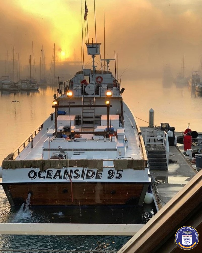 976tuna's tweet photo. Oceanside 95 Early Season Bluefin Trips https://t.co/pLxwQFUTA4 #oceanside95 #pointloma #fish #fishing #fishingtrip #oceanfishing #socalfishing #fishingtrip #goodtimes #livebait #saltlife #saltwater #tasty #thetugisthedrug #bluefintuna #bluefintunatunafishing https://t.co/GgfJpbn9ke