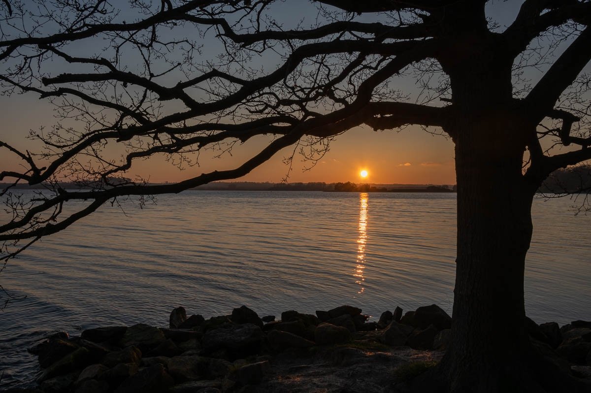 Rich_in_Rutland's tweet photo. Nice to be back out at sunset at Rutland Water. #sunset #Rutland #photography https://t.co/hxrQ3pk2E2