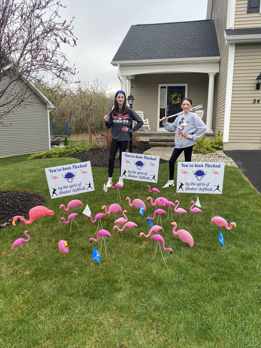 Happy to have been “Flocked” by Shaker Softball! Horns up, bison 🥎🦬🥎