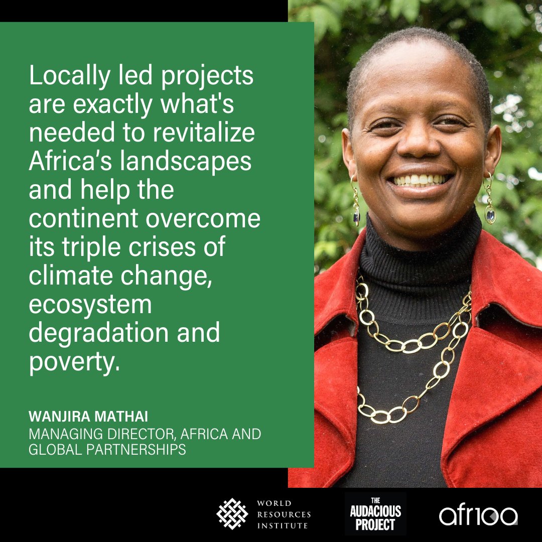 WorldResources's tweet image. Locally led landscape restoration is already happening throughout Africa, and it’s boosting incomes &amp;amp; helping communities adapt to climate change.

It just needs to scale up faster — @MathaiWanjira shares what we need to accelerate this movement: bit.ly/43Aug9D