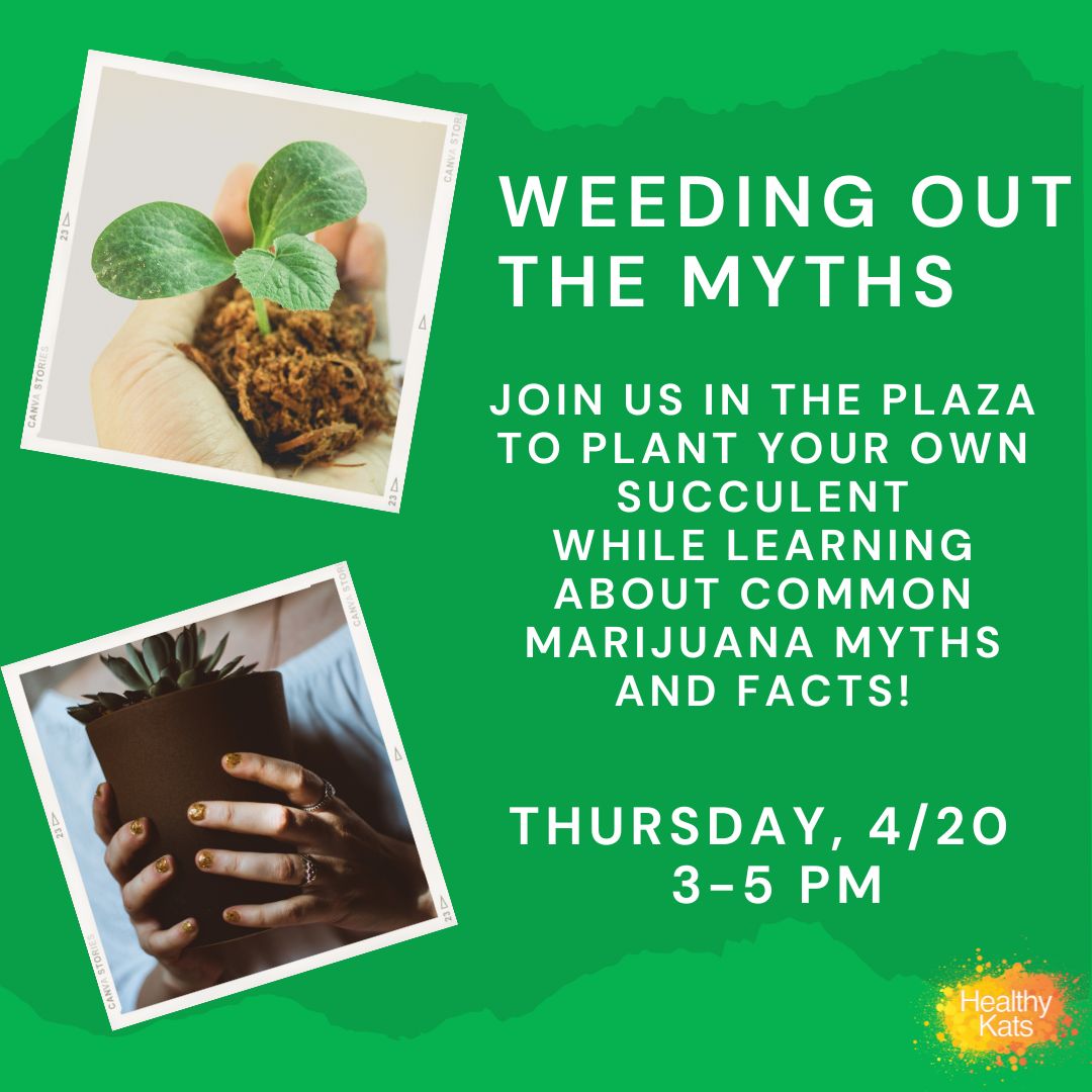 shsuwellness's tweet photo. Bearkats, is marijuana harmless and can it cause side effects?
#bearkats #ohp #class23 #class26 #shsu #peereducation #marijuanasideeffects #healthykats https://t.co/jmjz6b7juL
